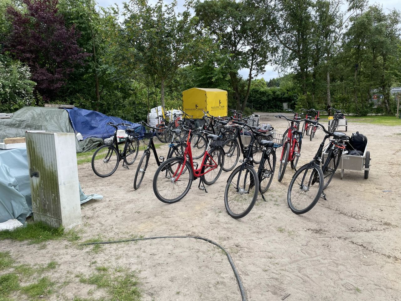 Palucca Tanzwoche 2025 Palucca Tanzwoche 2025