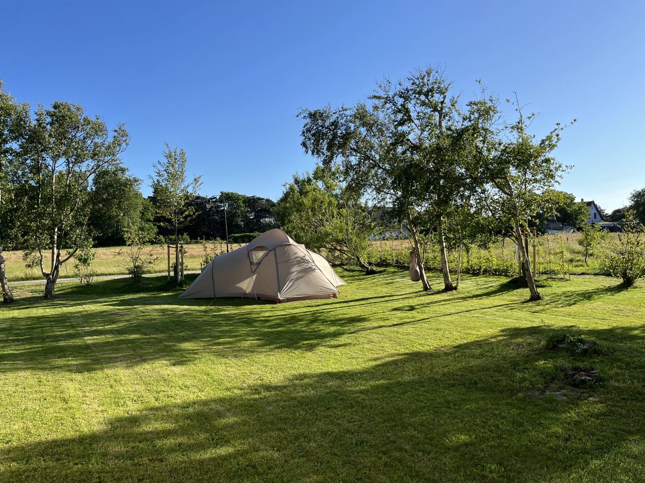 Palucca Tanzwoche 2025 Palucca Tanzwoche 2025