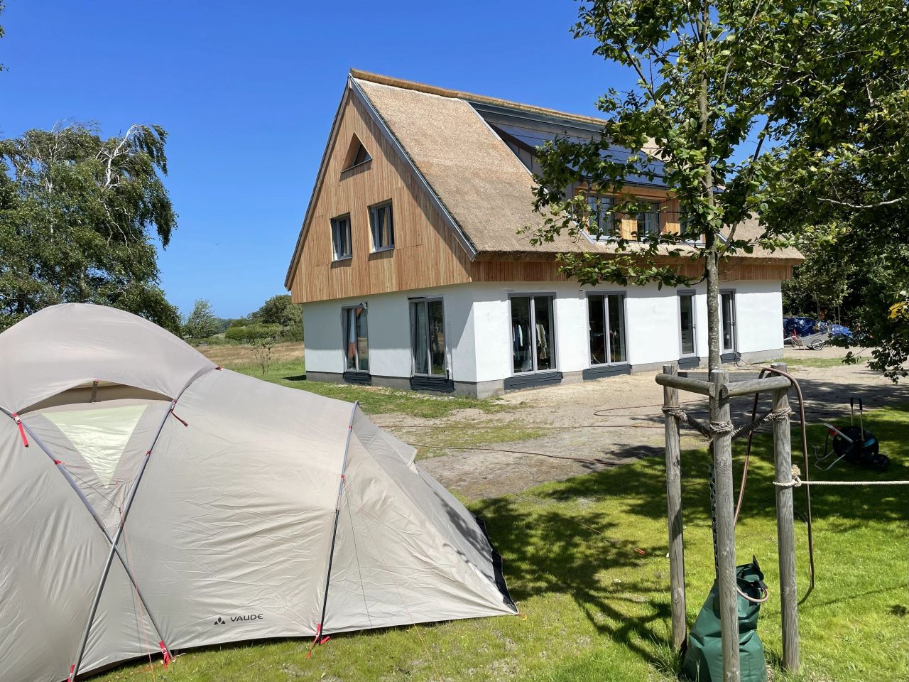 Palucca Tanzwoche 2025 Palucca Tanzwoche 2025